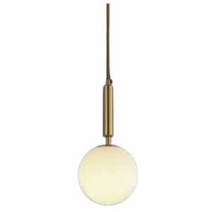 Frosted Globe Pendent 